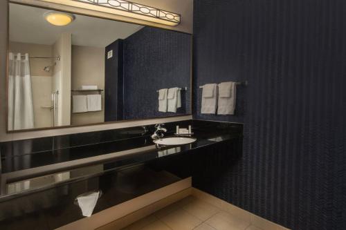 a bathroom with a sink and a large mirror at Fairfield Inn and Suites by Marriott Harrisonburg in Harrisonburg