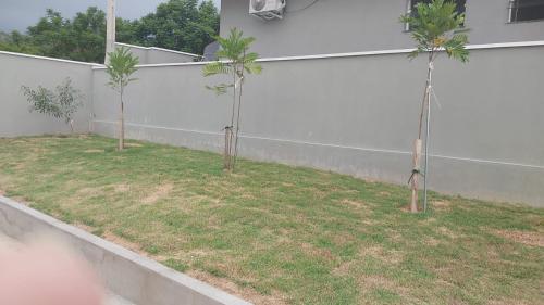two palm trees in a yard next to a wall at Vaz Lobo Kitnets in Mococa