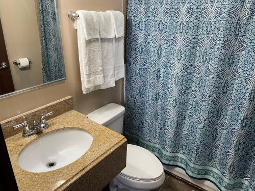 a bathroom with a sink and a toilet and a shower at Economy Inn & Suites in Ashtabula