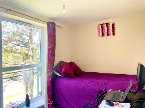 a bedroom with a purple bed and a window at Spacious room with study table in Hatfield