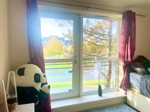 a teddy bear and a cat sitting in a window at Spacious room with study table in Hatfield