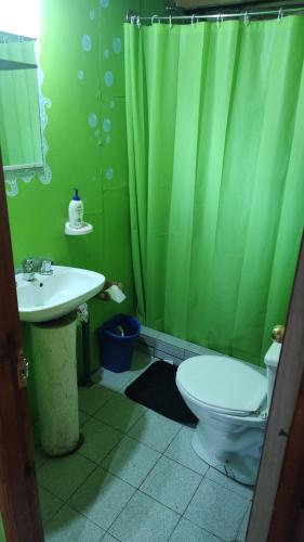 baño con cortina de ducha verde y aseo en Cabaña Los Nietos, en Futaleufú