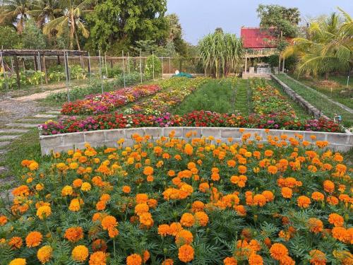 Κήπος έξω από το Ganesha Kampot Resort