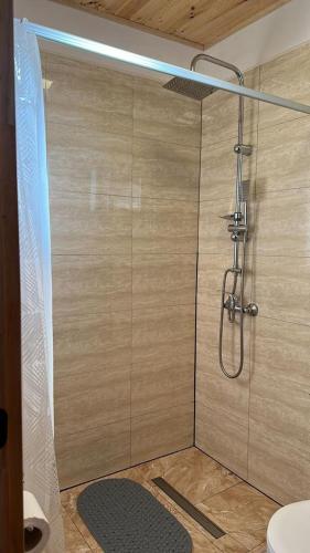 a bathroom with a shower with a toilet at Paraiso Patagonico in Chaitén