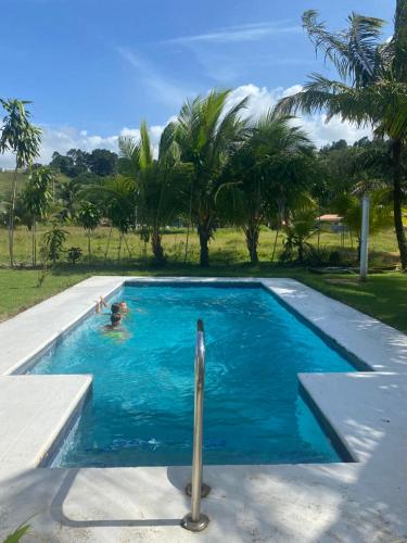 una persona nadando en una piscina con palmeras en Villa cerca del Mar, en Guanche