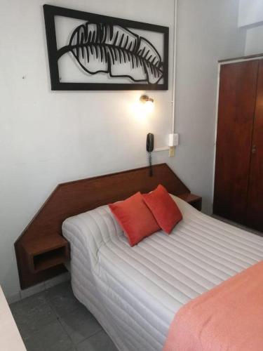 a bedroom with a bed with a red pillow on it at Suite Confortable en Palermo Omega in Buenos Aires