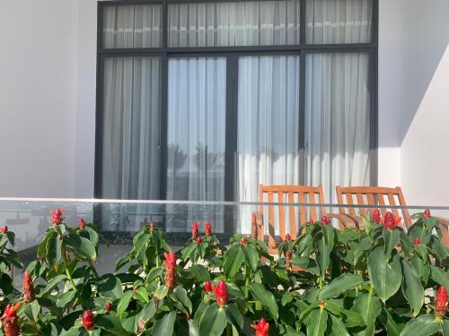 two chairs and red flowers in front of a window at Bờ Biển Vàng Resort in Ke Ga