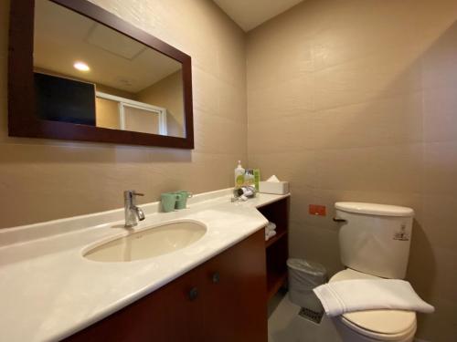 a bathroom with a sink and a toilet and a mirror at Ita taiwan indigenous cultural resort in Taitung City