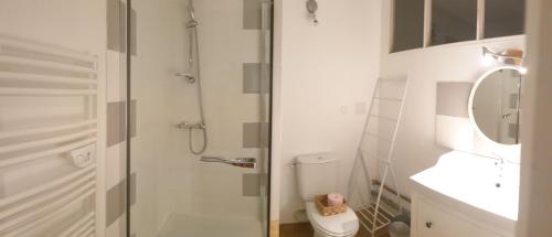 a bathroom with a shower and a toilet and a sink at Gite Des Lacs Jumeaux in Clairvaux-les-Lacs