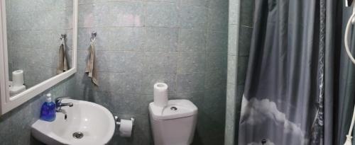 a bathroom with a toilet and a sink and a shower at Escapada romántica in Pirque