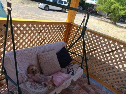 um cão sentado numa cadeira num alpendre em Cabaña Sofi em Quillón