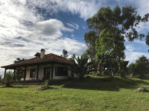 una pequeña casa en un campo con un árbol en Casa campestre - Villa de Leyva, en Villa de Leyva