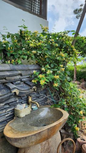 a stone sink with a plant growing over it at HanokInn in Gyeongju
