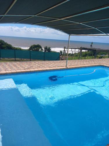 a blue swimming pool with the ocean in the background at Shotleft on Wye RD in Margate