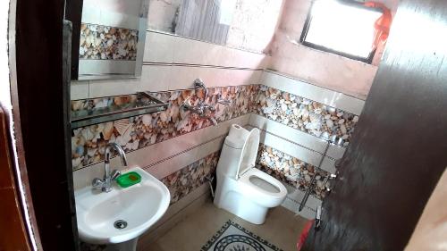 een badkamer met een wastafel en een toilet bij HIMALAYAN AAMA APARTMENT in Pokhara