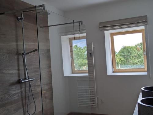 baño con ducha y ventana en Maison de Vacances L'Etable, en Saint-Just-près-Brioude