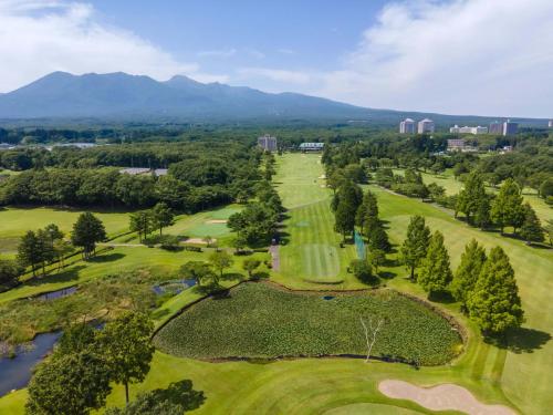 an aerial view of the golf course at the resort at Wellness Forest Nasu in Nasu