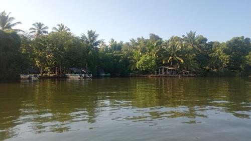 a view of a body of water with trees at Little Swan Guest house in Bentota