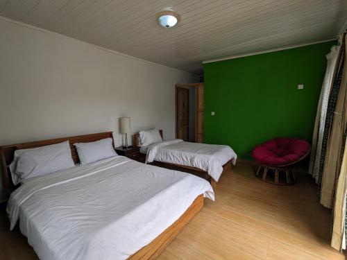 a bedroom with two beds and a green wall at OKA Forest Lodge in Andasibe