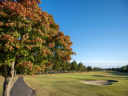 a tree in the middle of a golf course at Wellness Forest Nasu in Nasu