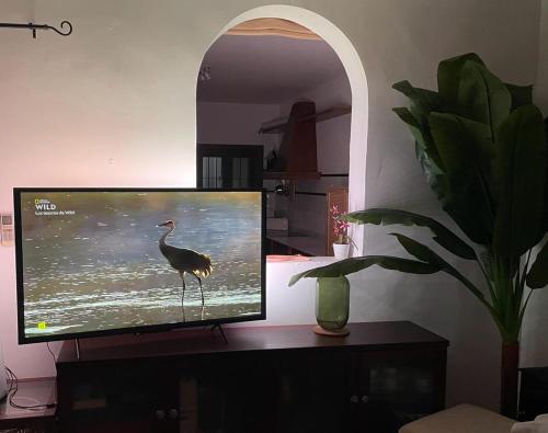 a television screen with a bird standing on a table at Casa con piscina en San José Sotillo in San José