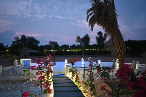 Zahrada ubytování Damas Resort