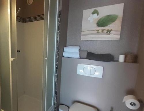 een badkamer met een douche, een toilet en handdoeken bij Studio Brest Centre ville Jean Jaurès in Brest