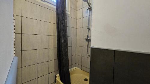y baño con ducha y aseo. en La Pause Laurag-aise l'embleur Oc Keys 27, en Castelnaudary
