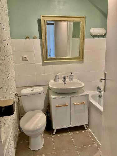 une salle de bain avec toilettes, lavabo et miroir dans l'établissement Fleure de Ly / Superb studio flat in Old Town, à Metz