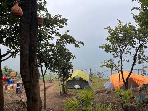 un grupo de tiendas de campaña en un campo con árboles en Hide away valley en Kodaikānāl