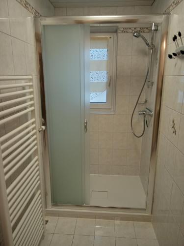a shower with a glass door in a bathroom at Ferienwohnung Schreieck Maria in Hofen