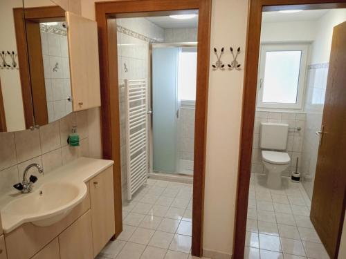 La salle de bains est pourvue d'un lavabo et de toilettes. dans l'établissement Ferienwohnung Schreieck Maria, à Höfen