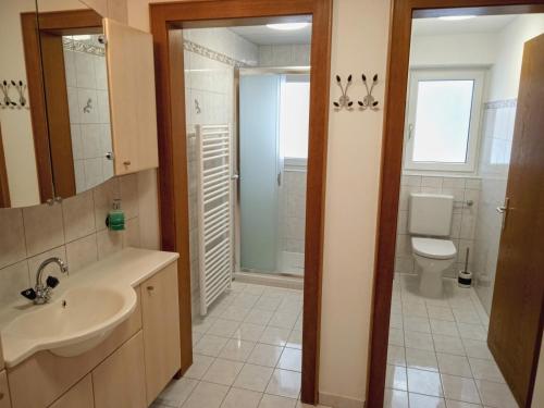 a bathroom with a sink and a toilet at Ferienwohnung Schreieck Maria in Hofen