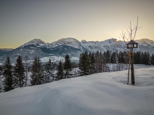 a snow covered hill with a light pole on top of it at Radochsbergloft in Abtenau