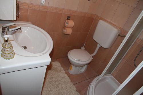 La salle de bains est pourvue d'un lavabo blanc et de toilettes. dans l'établissement Cozy House Blidinje, à Blidinje