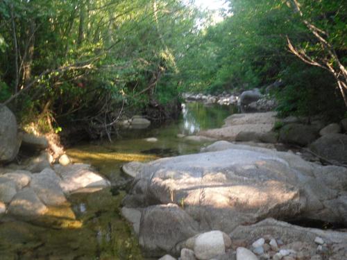 un ruisseau avec des rochers et des arbres dans l'établissement Villa l'Albizia accès privé rivière, à Porto-Vecchio