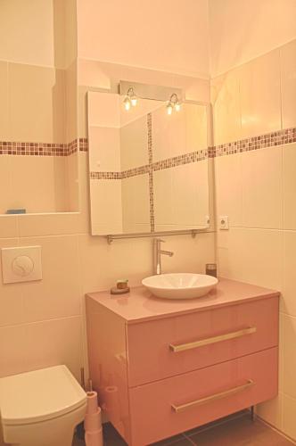 une salle de bain avec un lavabo, des toilettes et un miroir dans l'établissement Appartement Roi Théodore Ajaccio, à Ajaccio