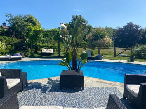 a potted plant sitting next to a swimming pool at The Cowshed Port Lympne in Hythe