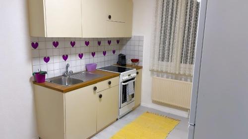 a small kitchen with a sink and a stove at Grandhouse center of Switzerland in Olten