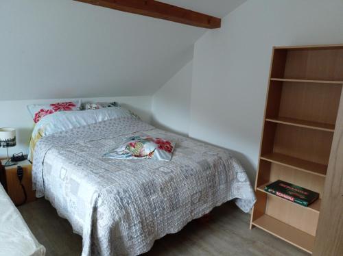 a bedroom with a bed and a book shelf at Les Clés de XOULCES in Cornimont