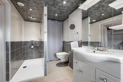 een badkamer met een wastafel, een douche en een toilet bij Au Nid de la Madeleine in Gaillac