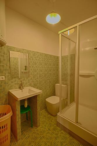une salle de bain avec toilettes, lavabo et douche dans l'établissement Studio Conventionnel Chiappe Vieille ville Ajaccio, à Ajaccio
