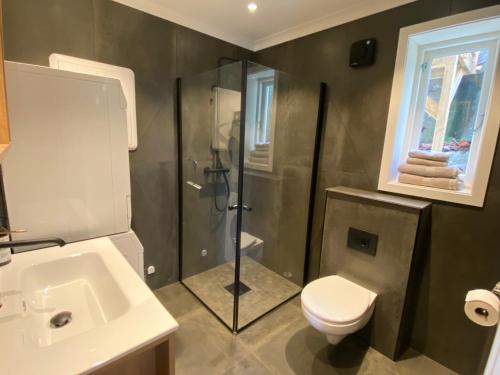 a bathroom with a shower and a toilet and a sink at Moderne og velutstyrt leilighet nær sentrum in Sandefjord