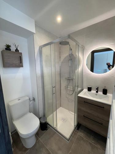 a bathroom with a toilet and a shower and a sink at Chalet La Tarine 