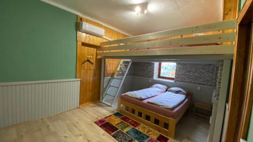 a small room with a bunk bed and a ladder at Dobó Tanya in Röszke