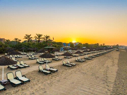 a line of lounge chairs and umbrellas on a beach at Asteria Family Resort Belek in Belek