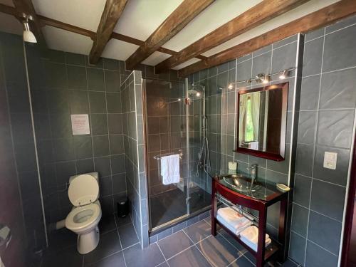 a bathroom with a shower and a toilet and a sink at Domaine La Tour in Loubens