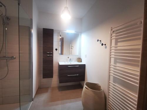 une salle de bain avec un lavabo et une douche avec un miroir dans l'établissement T3 pour 6 dans résidence neuve avec piscine, à Calvi