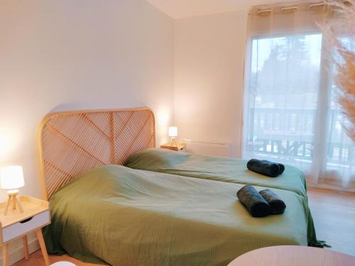 En eller flere senge i et værelse på Borda -41- au coeur des Thermes Borda