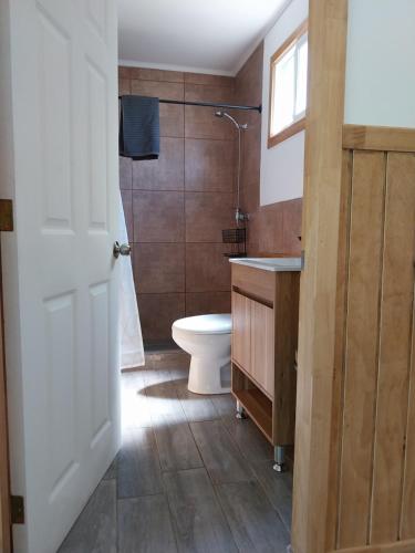 a bathroom with a toilet and a sink and a shower at Cabaña entre el Conguillio y Corralco in Curacautín